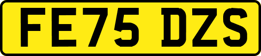 FE75DZS