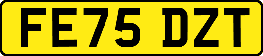 FE75DZT