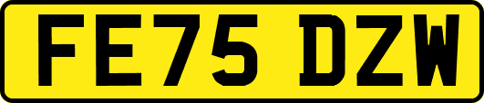 FE75DZW