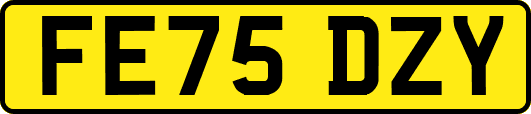 FE75DZY