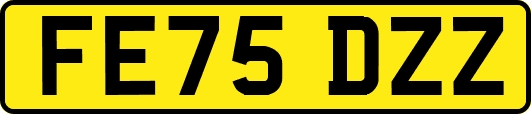 FE75DZZ