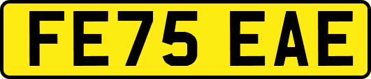 FE75EAE