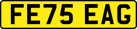 FE75EAG