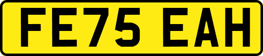 FE75EAH