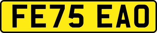 FE75EAO