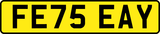 FE75EAY