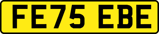 FE75EBE