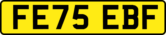FE75EBF