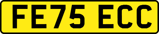 FE75ECC
