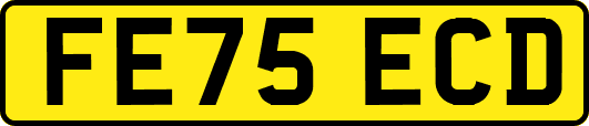 FE75ECD