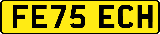 FE75ECH