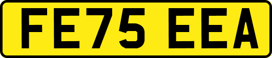FE75EEA