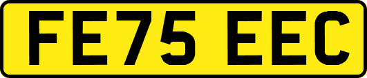 FE75EEC