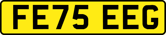 FE75EEG
