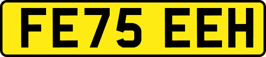FE75EEH