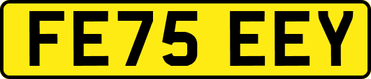 FE75EEY