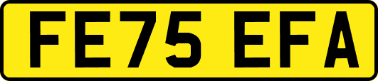 FE75EFA