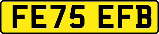 FE75EFB