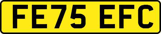 FE75EFC