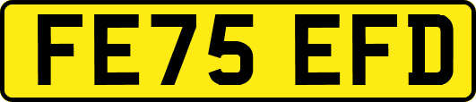 FE75EFD