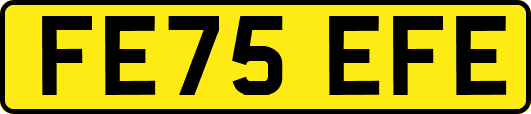 FE75EFE