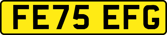 FE75EFG