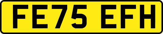 FE75EFH