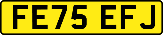 FE75EFJ