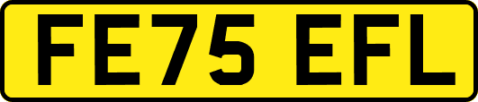 FE75EFL