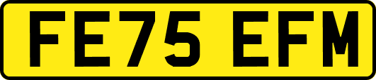 FE75EFM