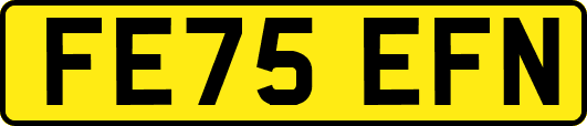 FE75EFN