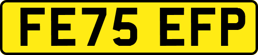 FE75EFP