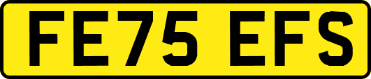 FE75EFS