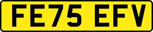 FE75EFV