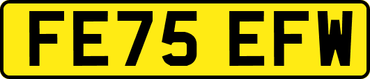 FE75EFW