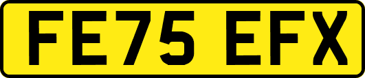 FE75EFX