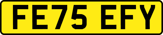 FE75EFY