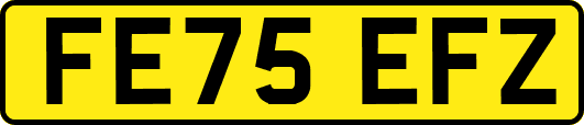 FE75EFZ