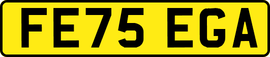 FE75EGA