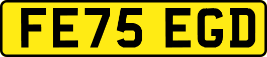 FE75EGD