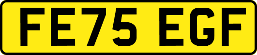 FE75EGF