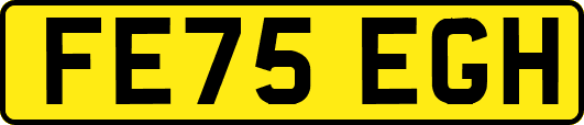 FE75EGH