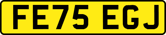 FE75EGJ