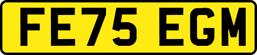 FE75EGM