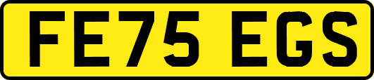 FE75EGS