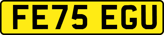 FE75EGU