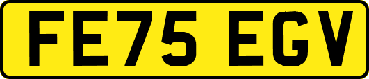 FE75EGV