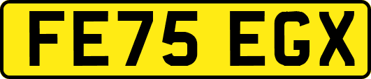 FE75EGX
