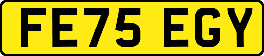 FE75EGY