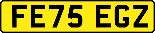 FE75EGZ
